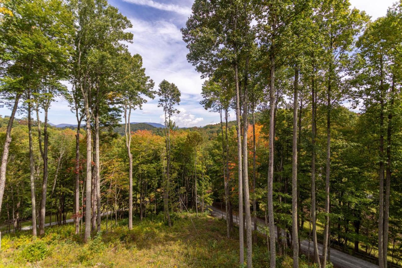 Matney Ridge Estate Villa Banner Elk Dış mekan fotoğraf