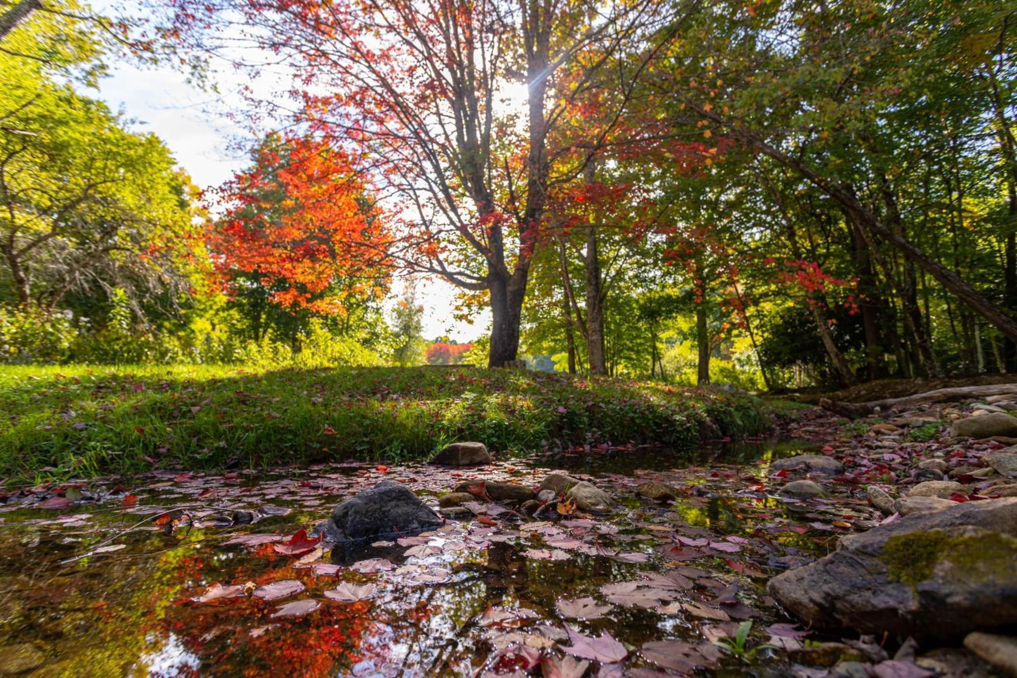 Matney Ridge Estate Villa Banner Elk Dış mekan fotoğraf
