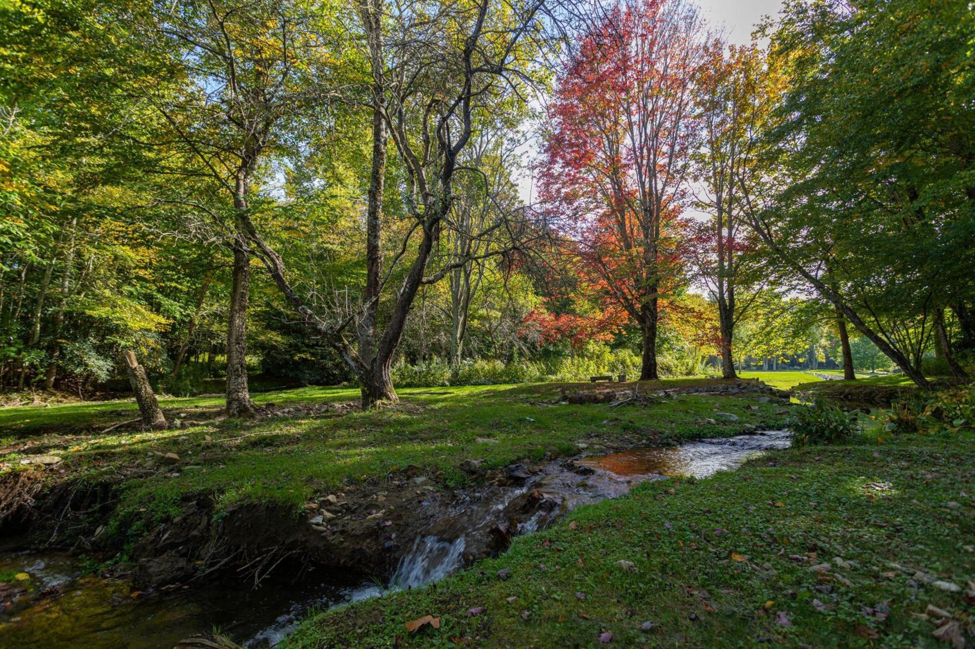 Matney Ridge Estate Villa Banner Elk Dış mekan fotoğraf