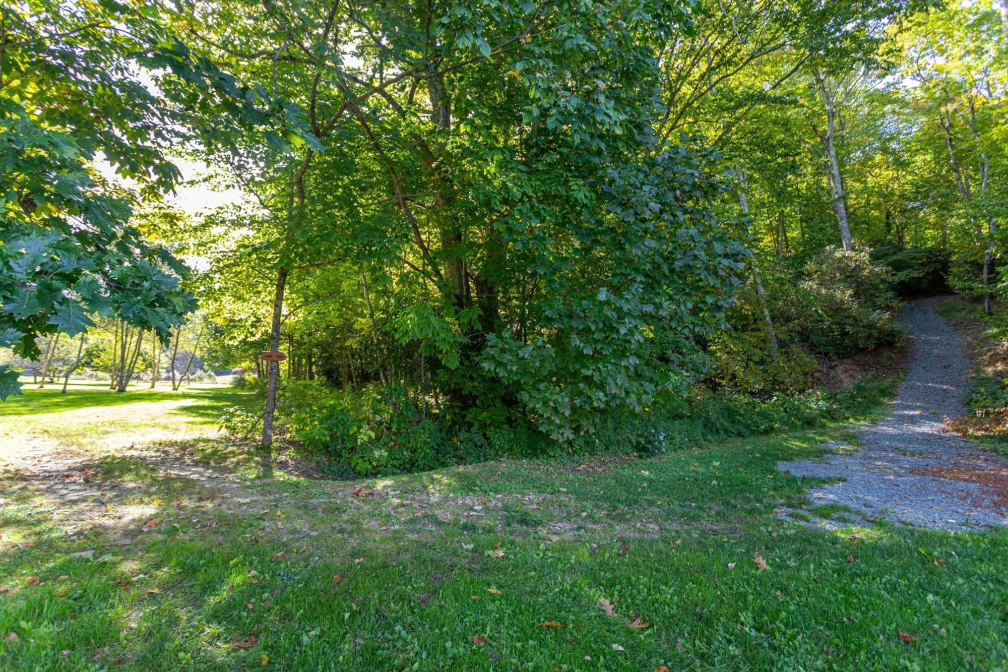 Matney Ridge Estate Villa Banner Elk Dış mekan fotoğraf