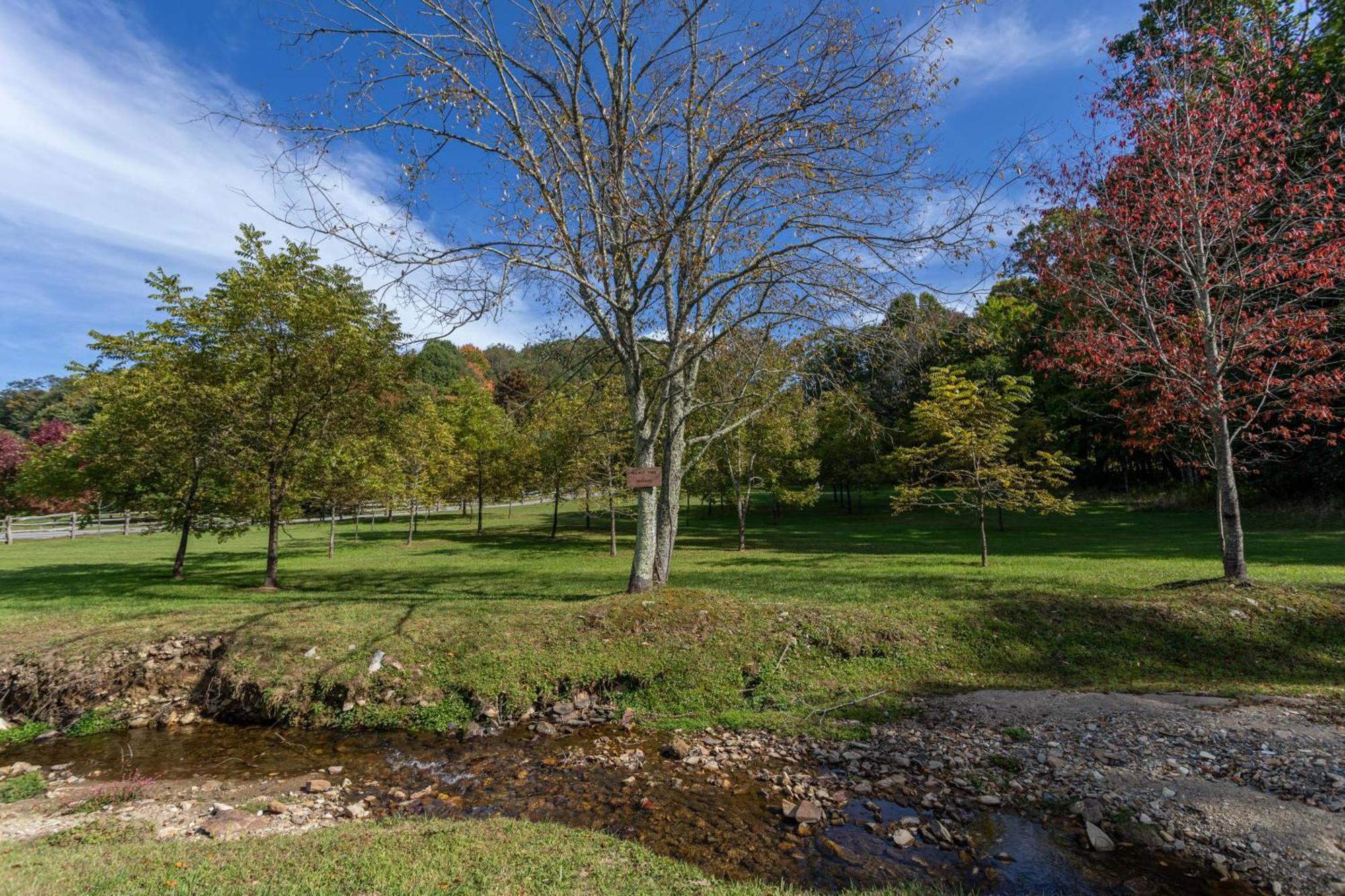 Matney Ridge Estate Villa Banner Elk Dış mekan fotoğraf
